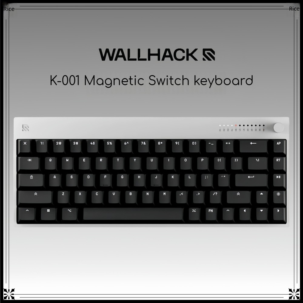 Gaming Keyboard Hall Effect Switches - WALLHACK K-001 Tastiera con Interruttore Magnetico